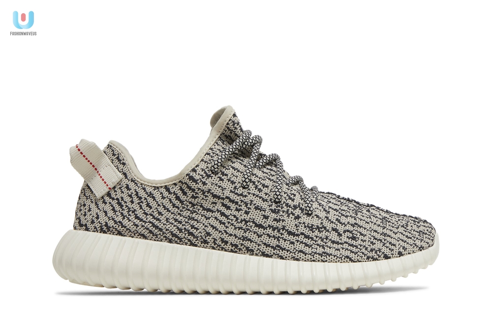 Yeezy Boost 350 Turtle Dove  Tgv