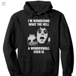 Im Wondering What The Hell A Wonderwall Even Is Shirt fashionwaveus 1 2