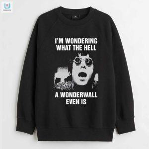 Im Wondering What The Hell A Wonderwall Even Is Shirt fashionwaveus 1 3