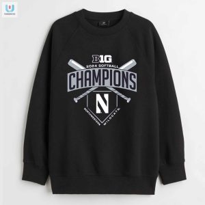 Strike Out The Competition With Our 2024 Big Ten Softball Champs Tee fashionwaveus 1 3