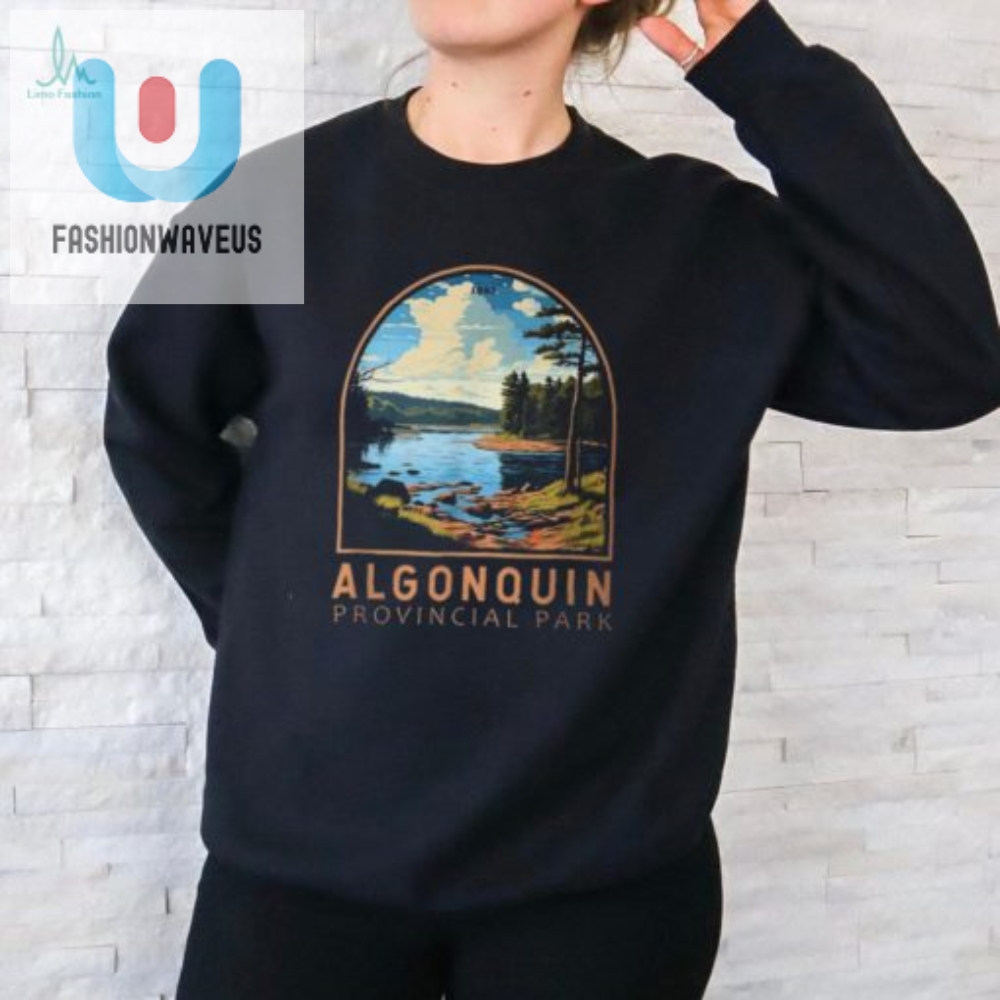 Vintage Algonquin Park Tee Your Passport To Punny Perfection