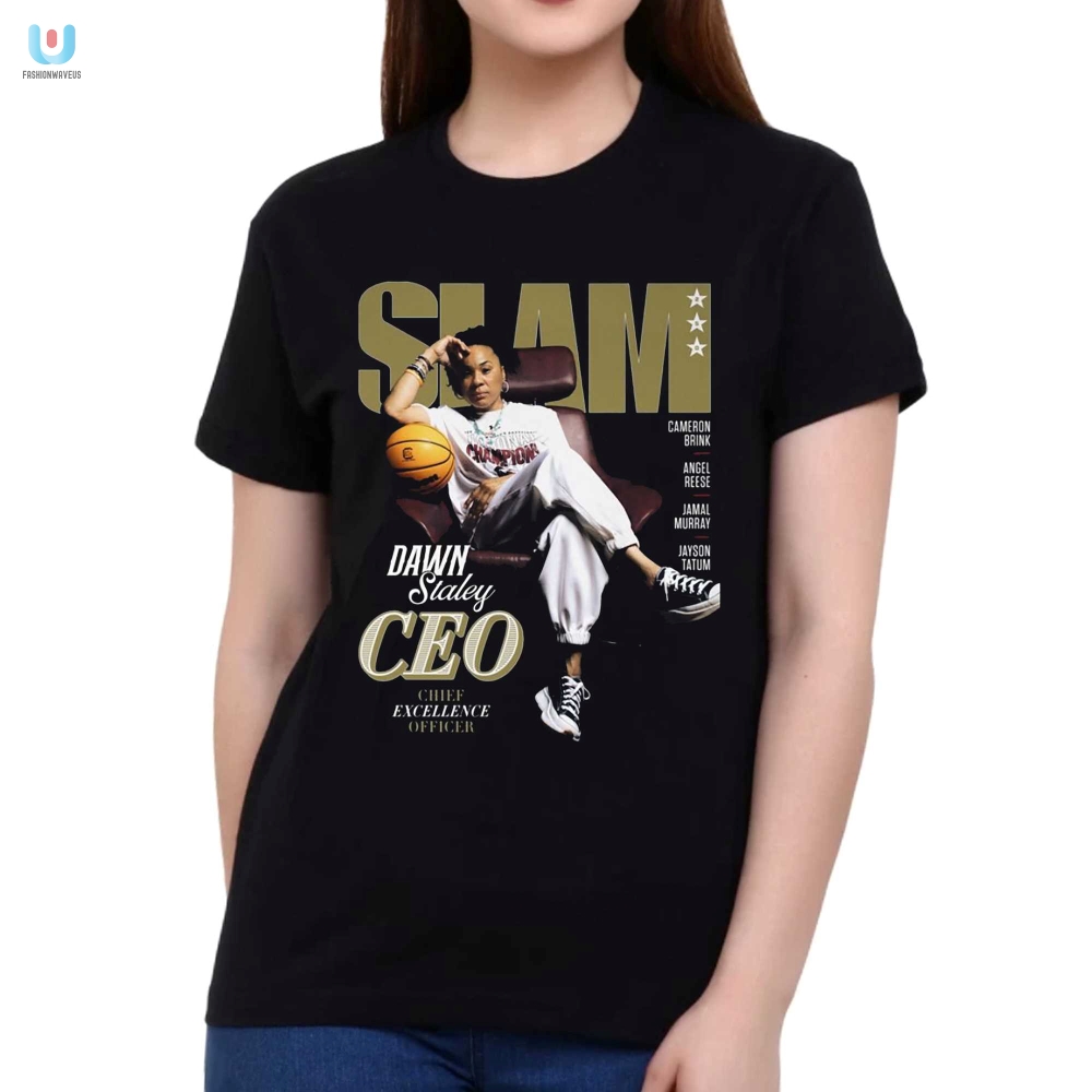 Own The Court Funny Aja Wilson  Dawn Staley Ceo Tee