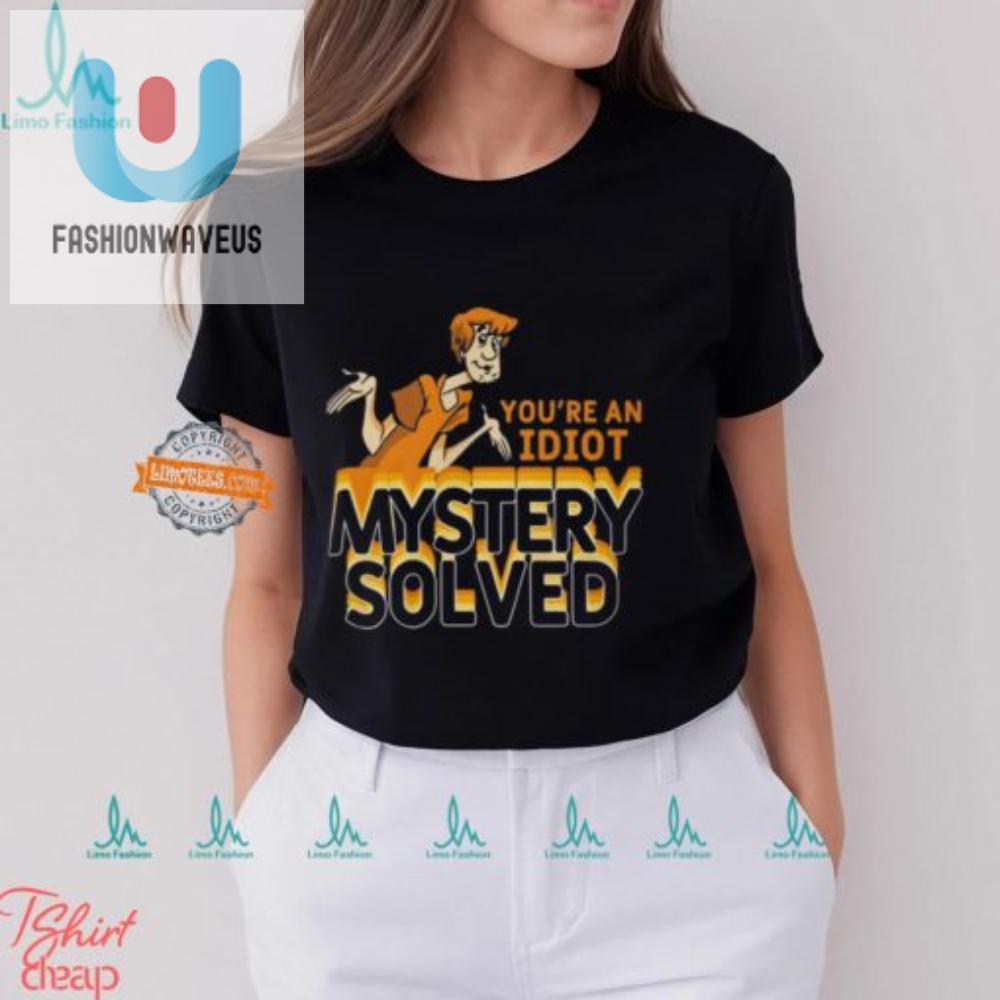 Hilarious Youre An Idiot Mystery Solved Tshirt
