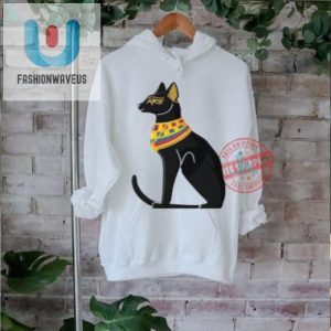 Aaron Rodgers Egyptian Cat Ladies Funny Boyfriend Tee fashionwaveus 1 1