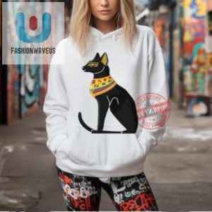 Aaron Rodgers Egyptian Cat Ladies Funny Boyfriend Tee fashionwaveus 1 2