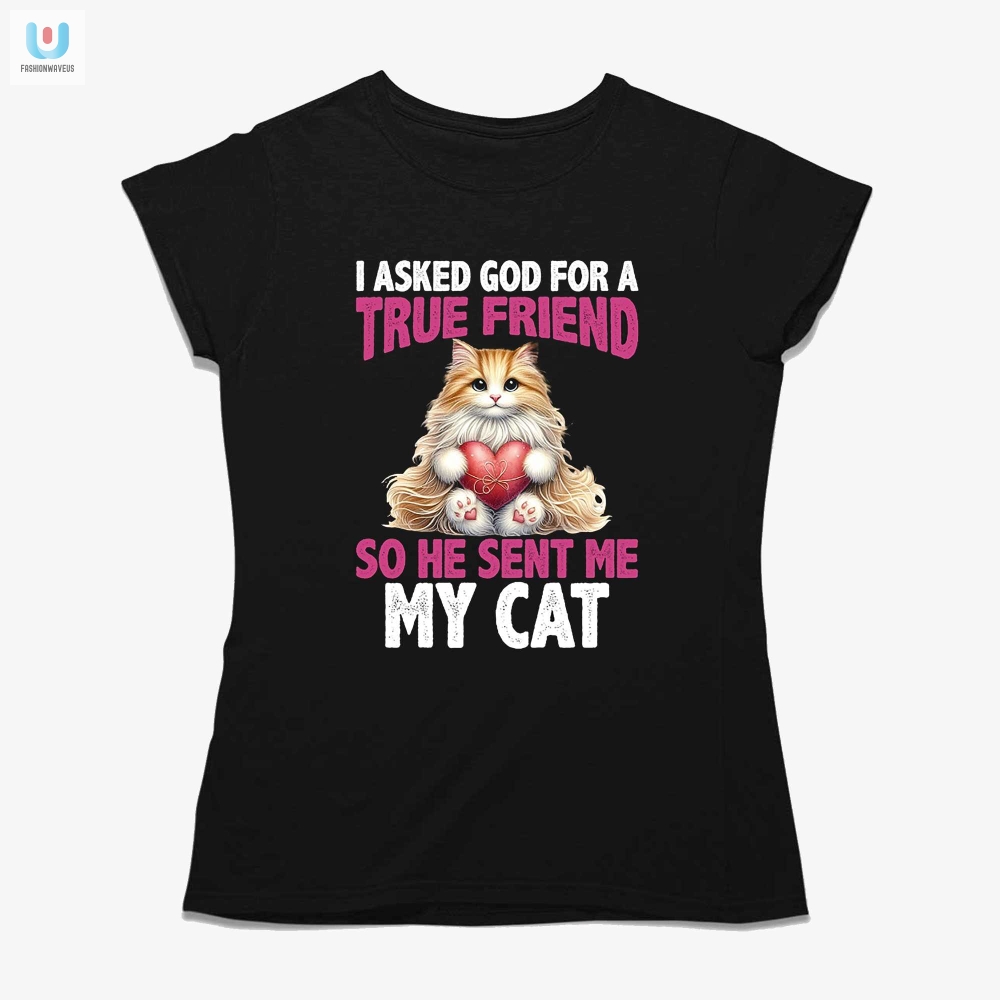 Funny God Sent Me My Cat Friendship Shirt