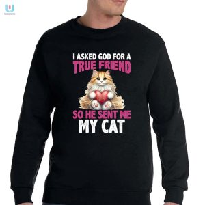 Funny God Sent Me My Cat Friendship Shirt fashionwaveus 1 3