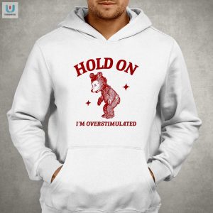 Hilarious Hold On Im Overstimulated Bear Shirt Stand Out fashionwaveus 1 2