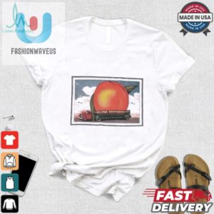 The Allman Brothers Mushroom Eat A Peach For Peace Album Art T Shirts fashionwaveus 1 2