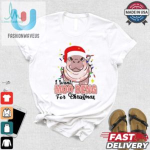 I Want Moo Deng For Christmas Santa Hat Shirt fashionwaveus 1 7