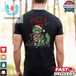 Is This Jolly Enough Cat Lover Christmas Shirt fashionwaveus 1 2